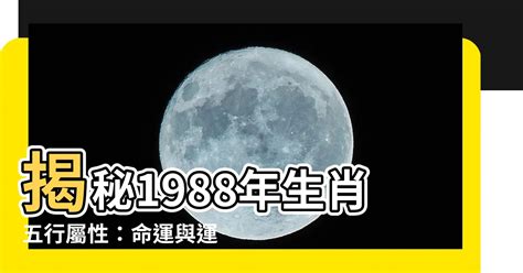 1988 土龍|【1988 什麼龍】1988 年五行屬什麼龍？你的命運、姻緣等你來解。